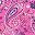 Peony Petal Paisley