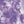 Petal Purple Tie Dye