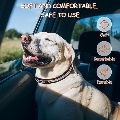 Adjustable Microfiber Leather Personalized Dog Collar