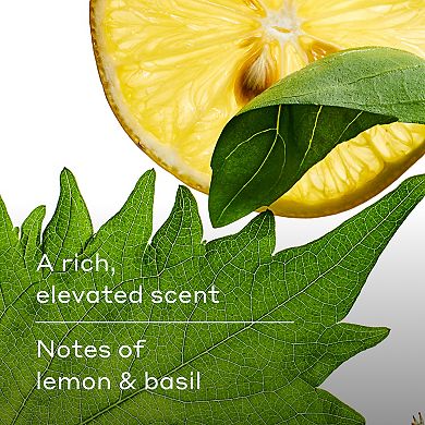 Harry's 18-oz. Spring Body Wash