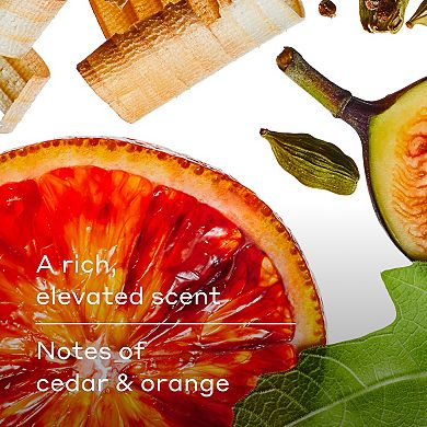 Harry's 18-oz. Fig Body Wash