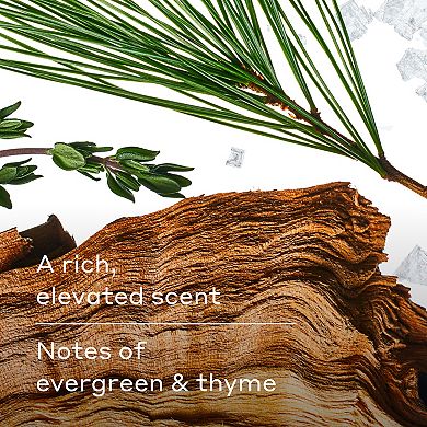 Harry's 18-oz. Redwood Body Wash