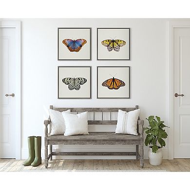 Sylvie Two Tone Butterfly Framed Canvas by Robert Cadloff of Bomobob
