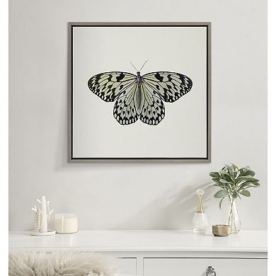 Sylvie Two Tone Butterfly Framed Canvas by Robert Cadloff of Bomobob