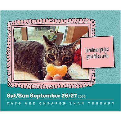 Andrews & McMeel Cats Are Cheaper Than Therapy 2026 Day-to-Day Calendar