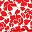 Red Tossed Floral