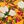 Mango Floral Blossom