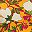 Mango Floral Blossom