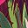 Pink Tropical Palm
