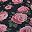 Black Rose