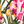 Ivory Pink Floral