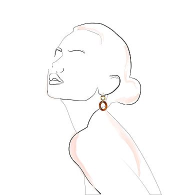 Emberly Gold Tone Fish Hook Animal Acrylic Earrings