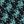 Black Pure Teal