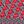 Gray Lucid Red