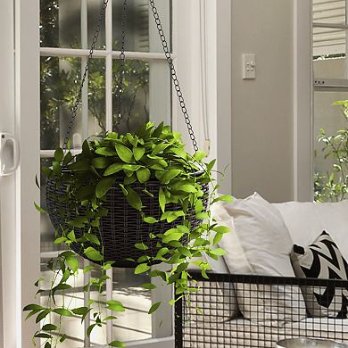 Sorbus Hanging Planter Round Self-Watering Basket