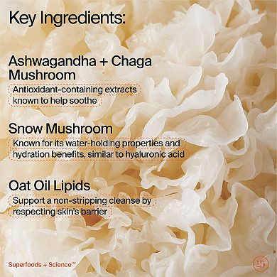 Adaptogens + Snow Mushroom + Oat Oil Lipids + Vitamins Supershroom Calm Cleanser