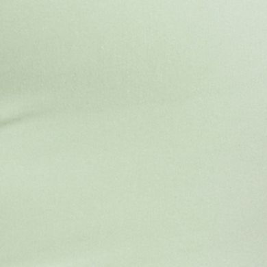 Hearts of Palm Plus Size I Pink I Can Solid Capri