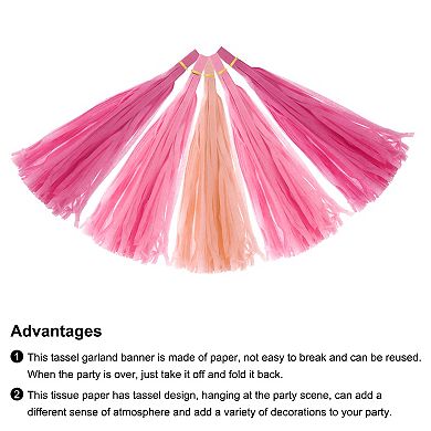 30 Pcs Tassel Garland Banner with Rope Tissue Paper Tassels Party DIY Kits