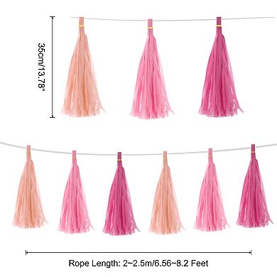 30 Pcs Tassel Garland Banner with Rope Tissue Paper Tassels Party DIY Kits