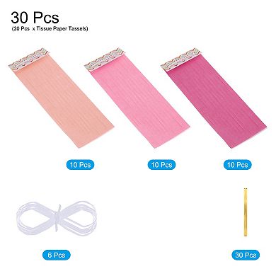 30 Pcs Tassel Garland Banner with Rope Tissue Paper Tassels Party DIY Kits
