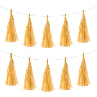 30 pc Tassel Garland Banner with Rope Tissue Paper Tassels Party DIY Kits
