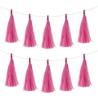 30 pc Tassel Garland Banner with Rope Tissue Paper Tassels Party DIY Kits