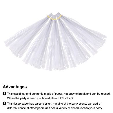 25 Pcs Tassel Garland Banner with Rope Tissue Paper Tassels Party DIY Kits