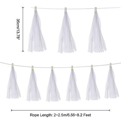 25 Pcs Tassel Garland Banner with Rope Tissue Paper Tassels Party DIY Kits