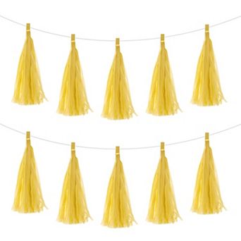 25 pc Tassel Garland Banner with Rope Tissue Paper Tassels Party DIY Kits