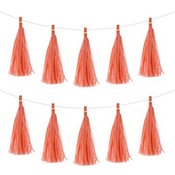 25 pc Tassel Garland Banner with Rope Tissue Paper Tassels Party DIY Kits