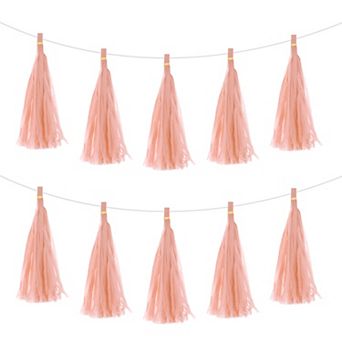 25 pc Tassel Garland Banner with Rope Tissue Paper Tassels Party DIY Kits
