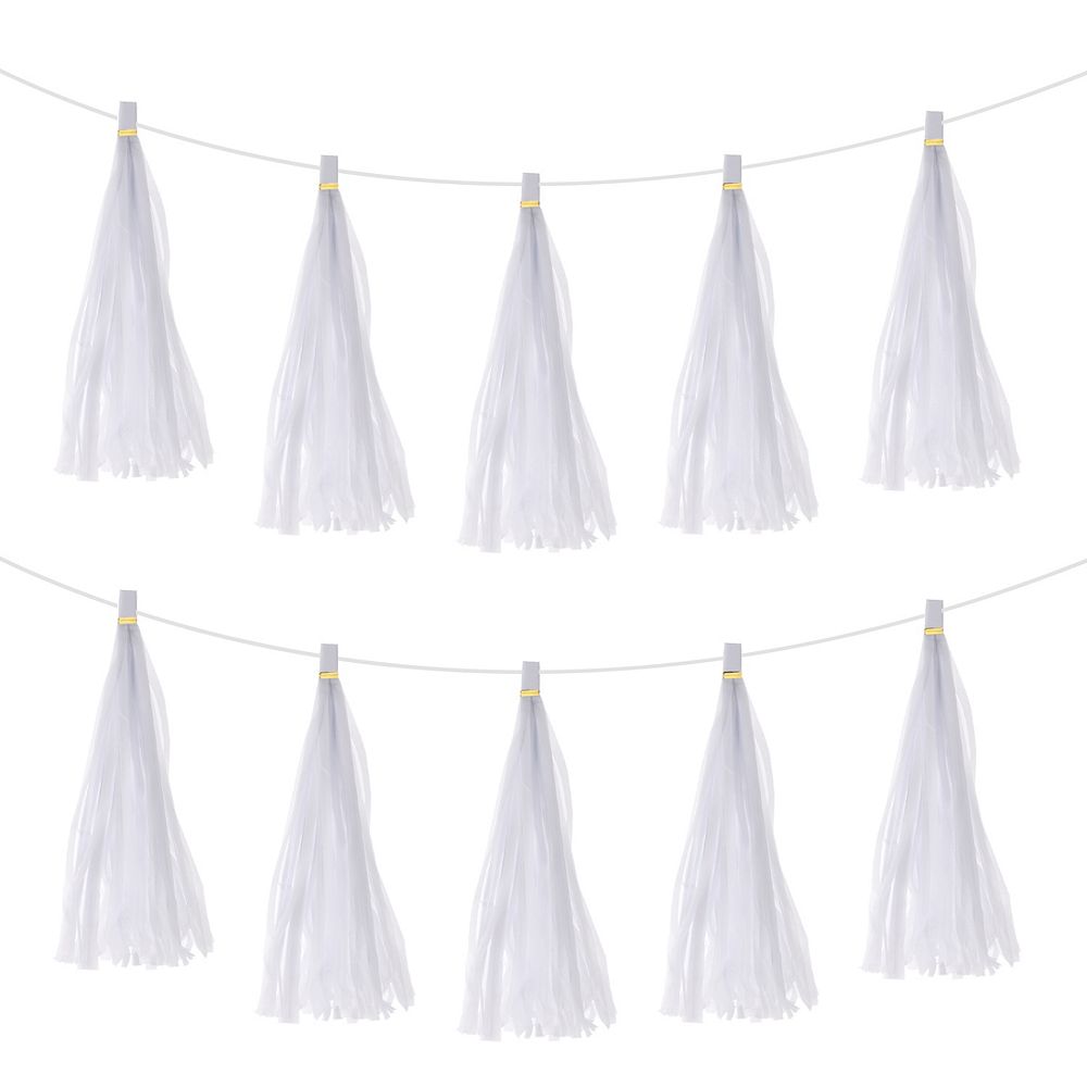 25 Pcs Tassel Garland Banner with Rope Tissue Paper Tassels Party DIY Kits