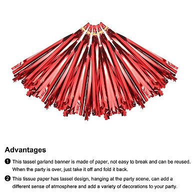 15 Pcs Tassel Garland Banner with Rope Tissue Paper Tassels Party DIY Kits