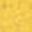 Shiny Gold 80th