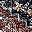 Brownish Red