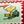 Peanuts Holiday