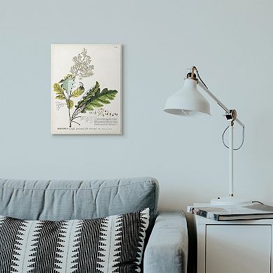 Stupell Home Decor Botanical Plant Illustration Plaque Wall Art