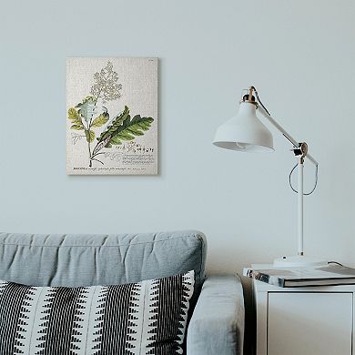 Stupell Home Decor Vintage Botanical Canvas Wall Art