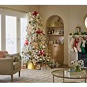 Home Decor & Chirstmas Trees