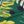 Black Dark Green