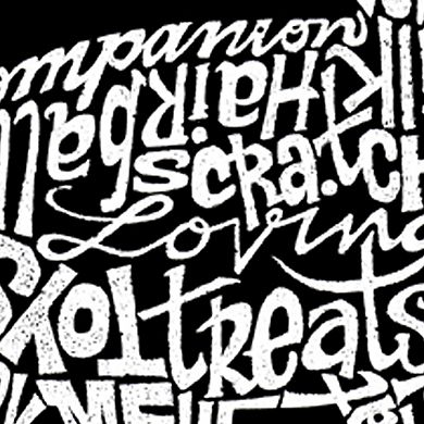 Women's Plus Size Word Art V-Neck - Cat