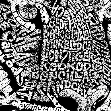 Women's Plus Size Word Art Tank Top - Big Cats