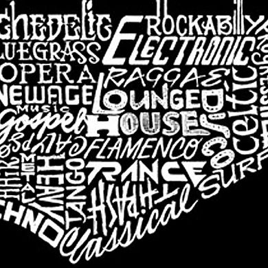 Women's Plus Size Word Art T-shirt - Guitar Head