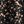 Black Multi