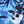 Azure Blue Shadow
