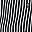 Black White Stripe