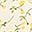 White Yellow Apricot