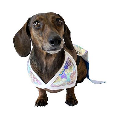 Midlee Mermaid Dog Halloween Costume