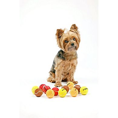 Midlee Thanksgiving Gobble Dog Tennis Balls - Set Of 12