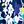 Blue Flower